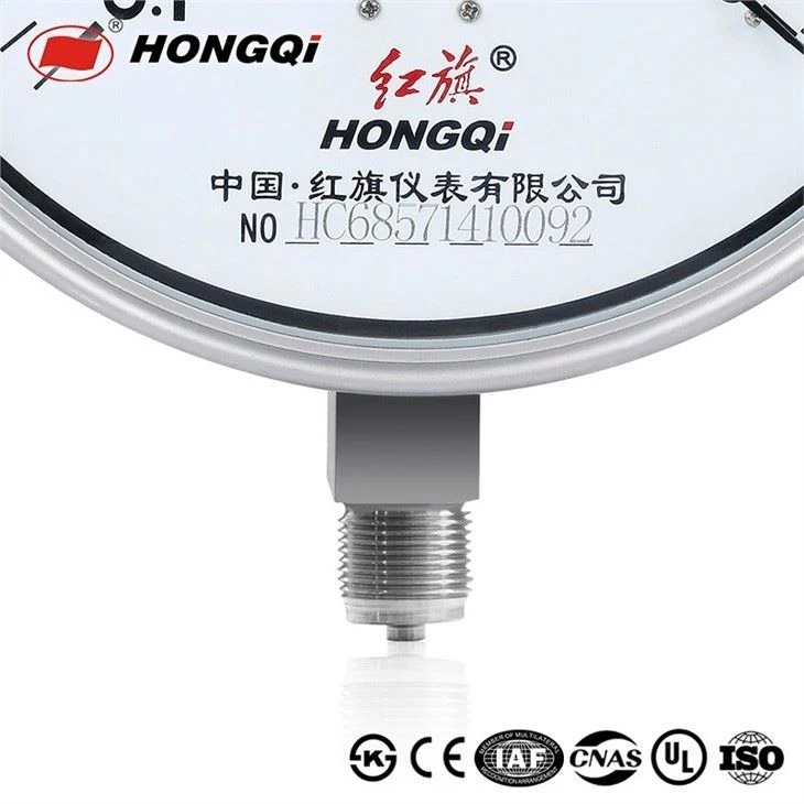 Hongqi 200mmBF -0.1~0mpa/ 304Stainless Steel 1/2