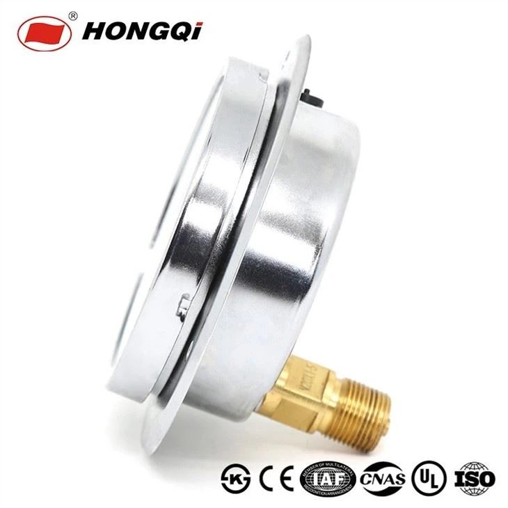 Stainless Steel After The Flange Axial Pressure Gauge