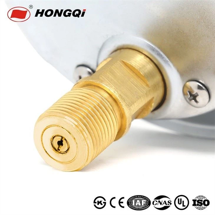 Stainless Steel After The Flange Axial Pressure Gauge