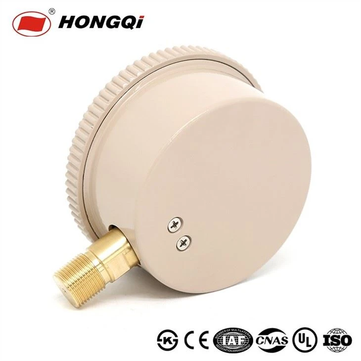 Top Brand Bottom Connectio Capsule Pressure Gauge